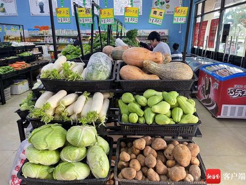 去年海口平价菜平均2.75元 斤 占海口主城区蔬菜销售总量的32